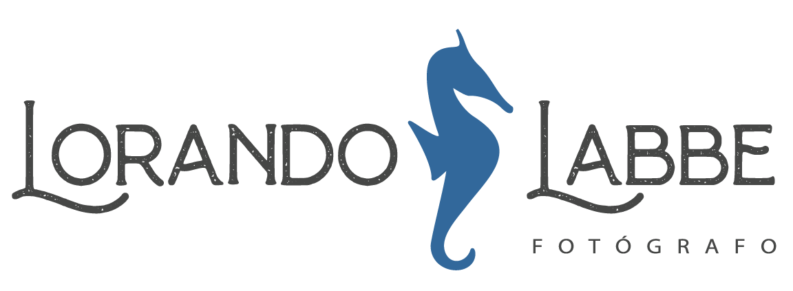 Site dos Noivos do Fotógrafo Lorando Labbe